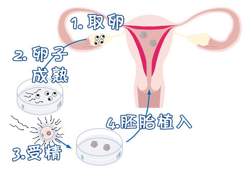 神崎医師